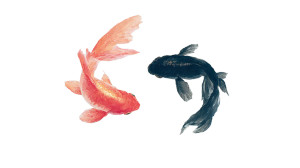Circular Goldfish Dance Vinyl Car Decal Sticker – Waterproof & UV-Resistant 8"