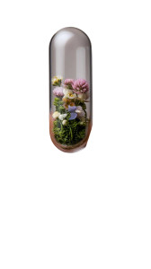 Glass Floral Capsule Vinyl Car Decal Sticker – Waterproof & UV-Resistant 8" Glass Floral Capsule Vinyl Car Decal Sticker – Waterproof & UV-Resistant 8"