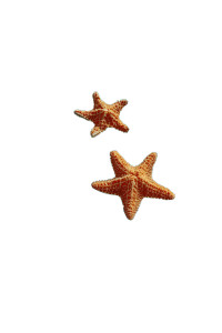 Starfish On Water Vinyl Car Decal Sticker – Waterproof & UV-Resistant 8" Starfish On Water Vinyl Car Decal Sticker – Waterproof & UV-Resistant 8"