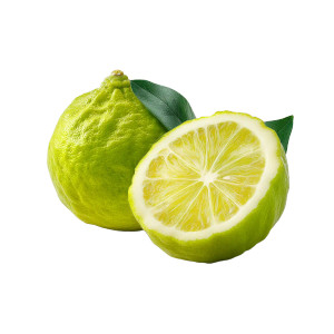 Sliced Bergamot Vinyl Car Decal Sticker – Waterproof & UV-Resistant 8"