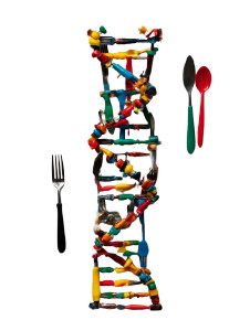 Dna Helix Utensils Vinyl Car Decal Sticker – Waterproof & UV-Resistant 8"