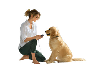 Woman And Golden Retriever Vinyl Car Decal Sticker – Waterproof & UV-Resistant 8" Woman And Golden Retriever Vinyl Car Decal Sticker – Waterproof & UV-Resistant 8"