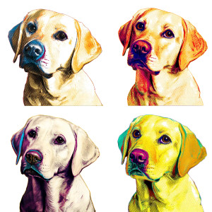 Warhol Labrador Portraits Vinyl Car Decal Sticker – Waterproof & UV-Resistant 8" Warhol Labrador Portraits Vinyl Car Decal Sticker – Waterproof & UV-Resistant 8"