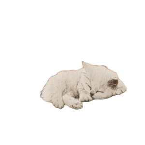 Sleeping Kawaii Cat Vinyl Car Decal Sticker – Waterproof & UV-Resistant 8" Sleeping Kawaii Cat Vinyl Car Decal Sticker – Waterproof & UV-Resistant 8"