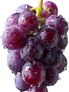 Dewy Purple Grape V3 Vinyl Car Decal Sticker – Waterproof & UV-Resistant 8" Dewy Purple Grape V3 Vinyl Car Decal Sticker – Waterproof & UV-Resistant 8"