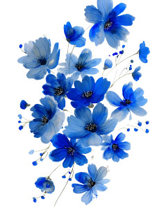 Falling Blue Flowers Vinyl Car Decal Sticker – Waterproof & UV-Resistant 8" Falling Blue Flowers Vinyl Car Decal Sticker – Waterproof & UV-Resistant 8"