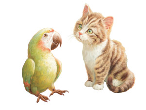 Cat And Parrot Vinyl Car Decal Sticker – Waterproof & UV-Resistant 8" Cat And Parrot Vinyl Car Decal Sticker – Waterproof & UV-Resistant 8"