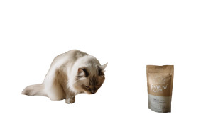 Ragdoll Cat Dining Vinyl Car Decal Sticker – Waterproof & UV-Resistant 8"