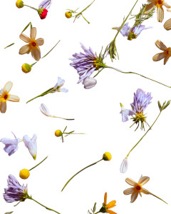 Scattered Wild Flowers Vinyl Car Decal Sticker – Waterproof & UV-Resistant 8"