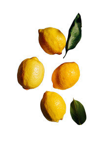 Vintage Lemon Painting Vinyl Car Decal Sticker – Waterproof & UV-Resistant 8"