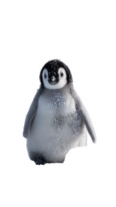 Penguin Snowball Fight Vinyl Car Decal Sticker – Waterproof & UV-Resistant 8"