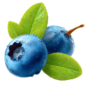 Blueberry With Leaves Vinyl Car Decal Sticker – Waterproof & UV-Resistant 8" Blueberry With Leaves Vinyl Car Decal Sticker – Waterproof & UV-Resistant 8"