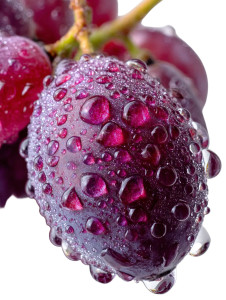Dewy Purple Grape Vinyl Car Decal Sticker – Waterproof & UV-Resistant 8" Dewy Purple Grape Vinyl Car Decal Sticker – Waterproof & UV-Resistant 8"