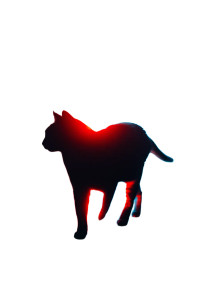 Cyberpunk Cat Silhouette Vinyl Car Decal Sticker – Waterproof & UV-Resistant 8"