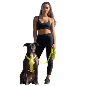 Woman With Bull Terrier Vinyl Car Decal Sticker – Waterproof & UV-Resistant 8"