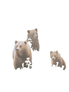 Bears In Meadow Vinyl Car Decal Sticker – Waterproof & UV-Resistant 8"
