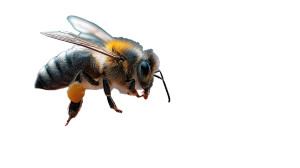 Bee Pollinating Flower Vinyl Car Decal Sticker – Waterproof & UV-Resistant 8" Bee Pollinating Flower Vinyl Car Decal Sticker – Waterproof & UV-Resistant 8"