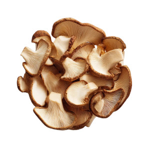 Shiitake Slices Bowl Vinyl Car Decal Sticker – Waterproof & UV-Resistant 8"