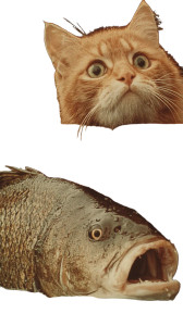 Panicked Ginger Cat Vinyl Car Decal Sticker – Waterproof & UV-Resistant 8"