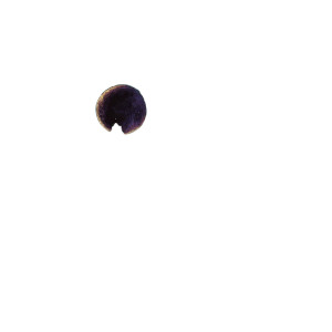 Hollow Moon Vinyl Car Decal Sticker – Waterproof & UV-Resistant 8"