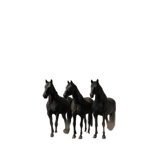 Majestic Black Horses Vinyl Car Decal Sticker – Waterproof & UV-Resistant 8" Majestic Black Horses Vinyl Car Decal Sticker – Waterproof & UV-Resistant 8"