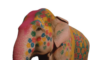Colorful Painted Elephant Vinyl Car Decal Sticker – Waterproof & UV-Resistant 8" Colorful Painted Elephant Vinyl Car Decal Sticker – Waterproof & UV-Resistant 8"