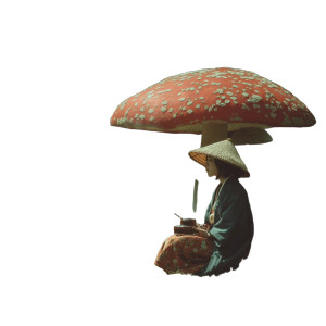Mushroom Toadstool Beauty Vinyl Car Decal Sticker – Waterproof & UV-Resistant 8" Mushroom Toadstool Beauty Vinyl Car Decal Sticker – Waterproof & UV-Resistant 8"