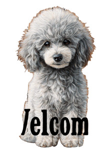 Rustic Poodle Sign Vinyl Car Decal Sticker – Waterproof & UV-Resistant 8"