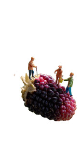 Dreamy Mulberry Figures Vinyl Car Decal Sticker – Waterproof & UV-Resistant 8"