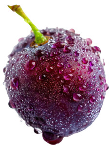 Dewy Purple Grape V2 Vinyl Car Decal Sticker – Waterproof & UV-Resistant 8"