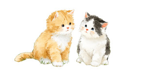 Cute Kittens Clipart V4 Vinyl Car Decal Sticker – Waterproof & UV-Resistant 8"