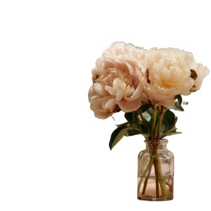 Beige Peonies Vases Vinyl Car Decal Sticker – Waterproof & UV-Resistant 8"