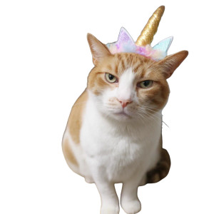 Grumpy Unicorn Cat Vinyl Car Decal Sticker – Waterproof & UV-Resistant 8"