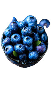 Fresh Blueberries Bowl Vinyl Car Decal Sticker – Waterproof & UV-Resistant 8" Fresh Blueberries Bowl Vinyl Car Decal Sticker – Waterproof & UV-Resistant 8"