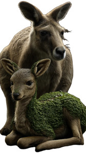 Fawn And Kangaroo Vinyl Car Decal Sticker – Waterproof & UV-Resistant 8" Fawn And Kangaroo Vinyl Car Decal Sticker – Waterproof & UV-Resistant 8"