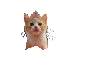 Princess Kitten Vinyl Car Decal Sticker – Waterproof & UV-Resistant 8"