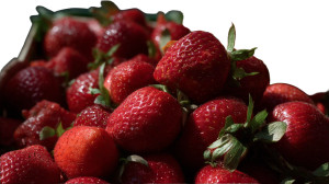 Ripe Strawberries Close-Up V2 Vinyl Car Decal Sticker – Waterproof & UV-Resistant 8" Ripe Strawberries Close-Up V2 Vinyl Car Decal Sticker – Waterproof & UV-Resistant 8"