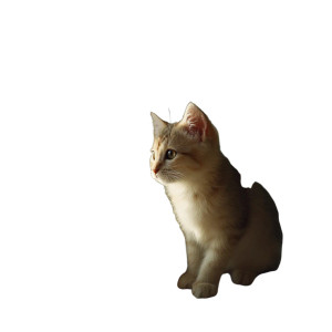 Playing Kitten Vinyl Car Decal Sticker – Waterproof & UV-Resistant 8"