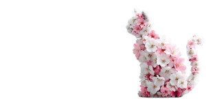 Blossom Cat Vinyl Car Decal Sticker – Waterproof & UV-Resistant 8"