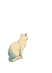 White Cat On Windowsill Vinyl Car Decal Sticker – Waterproof & UV-Resistant 8" White Cat On Windowsill Vinyl Car Decal Sticker – Waterproof & UV-Resistant 8"