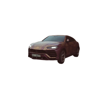 Golden Ornamental Urus Vinyl Car Decal Sticker – Waterproof & UV-Resistant 8"