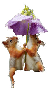 Squirrels With Flower Umbrella Vinyl Car Decal Sticker – Waterproof & UV-Resistant 8"