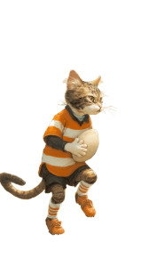 Rugby Cat Vinyl Car Decal Sticker – Waterproof & UV-Resistant 8"