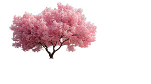 Spring Bloom Tree Vinyl Car Decal Sticker – Waterproof & UV-Resistant 8" Spring Bloom Tree Vinyl Car Decal Sticker – Waterproof & UV-Resistant 8"