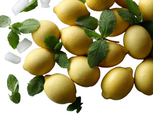 Frosty Lemons Display Vinyl Car Decal Sticker – Waterproof & UV-Resistant 8"