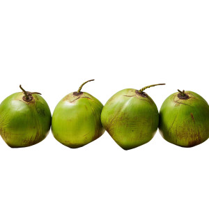 Green Coconuts Vinyl Car Decal Sticker – Waterproof & UV-Resistant 8"