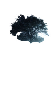 Tree Of Life V10 Vinyl Car Decal Sticker – Waterproof & UV-Resistant 8"