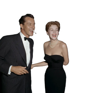 Elegant Cruise Night Vinyl Car Decal Sticker – Waterproof & UV-Resistant 8"