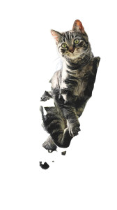 Distressed Tree Cat Vinyl Car Decal Sticker – Waterproof & UV-Resistant 8"