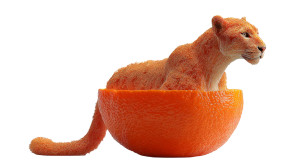 Tangerine Panther Vinyl Car Decal Sticker – Waterproof & UV-Resistant 8"